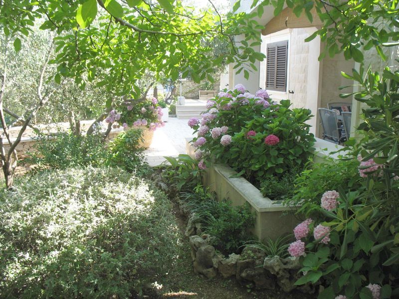 صورة الفندق 3