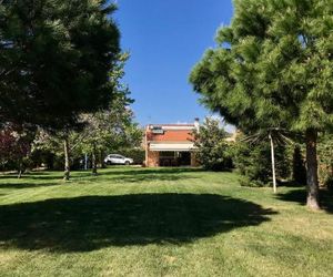 Plane Tree House Alexandroupolis Greece