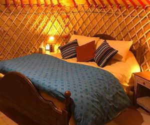 McClure Yurt at Carrigeen Glamping Kilkenny Ireland