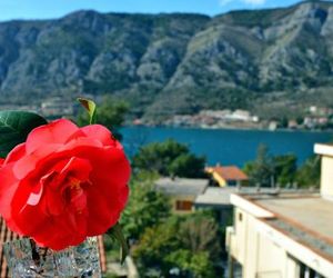 DC Apartment C Dobrota Montenegro