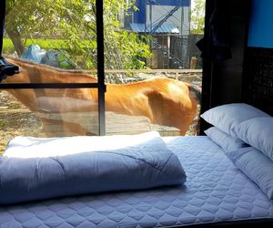 RODEO HOUSE BKK Exclusive Queen BED DMK Airport Don Mueang International Airport Thailand