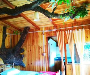 Tree House - The Silent Valley along River Kalsa Bhim Tal India