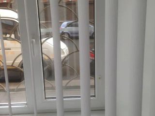 Студия у Техноложки №5