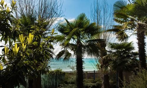 صورة الفندق 1