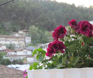 Apartment Koka Berat Albania