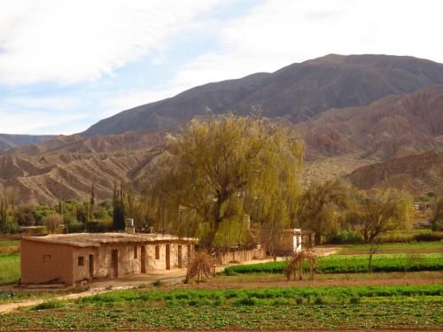 صورة الفندق 4