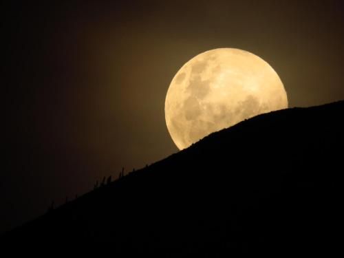 صورة الفندق 8