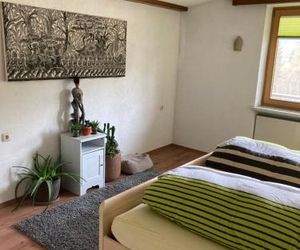 Haus Wieswald Ehrwald Austria