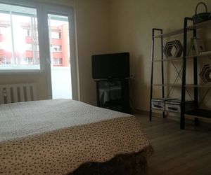 Jaukus 1 k. butas Palangoje Palanga Lithuania