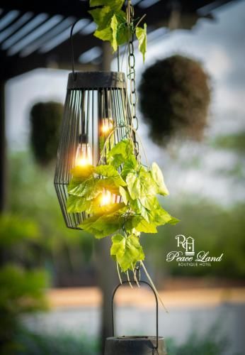 صورة الفندق 13