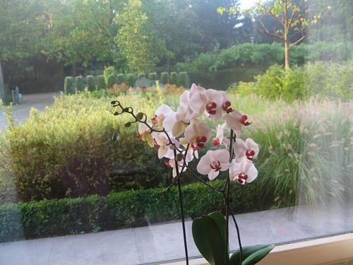 صورة الفندق 19