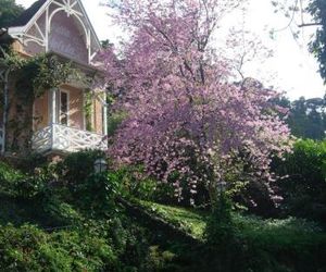 Villa Violeta Petropolis Brazil