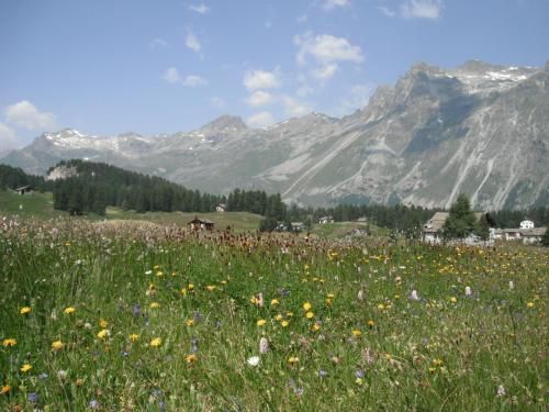 صورة الفندق 3