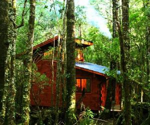 Cabañas Bosque Milenario Conarepue Chile