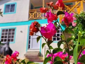 Colorful Garden House Providencia Colombia