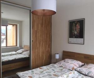 Apartmán Čihadla Friedrichswald Czech Republic