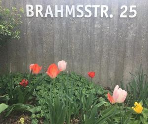 Brahms 25 Regensburg Germany