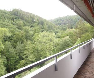 Ferienwohnung GrünWald Bad Harzburg Germany