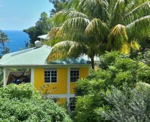 Mango Garden Cottages Anse Du Me Dominica