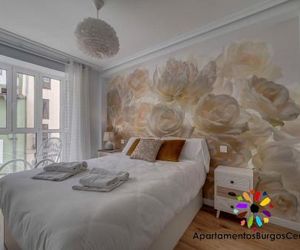 Apartamentos Burgos Centro - Hospital de los Ciegos Burgos Spain