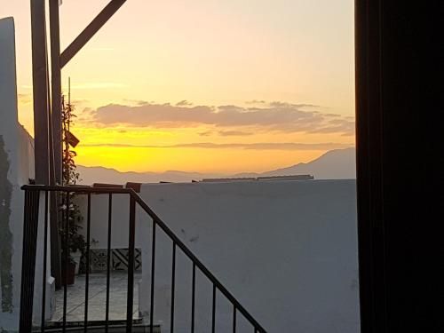 صورة الفندق 24