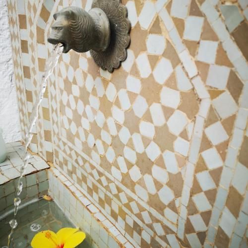 صورة الفندق 10