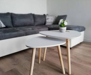 Appartement Cosy proche Météo France et Airbus Toulouse France
