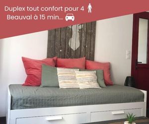 Duplex/Beauval & Châteaux Selles France
