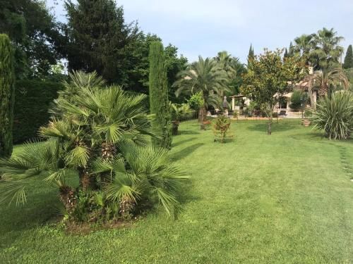 صورة الفندق 7