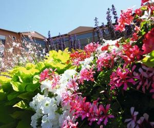 LES TERRASSES DE BORDA*** Dax France