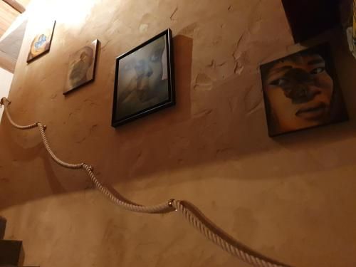 صورة الفندق 22