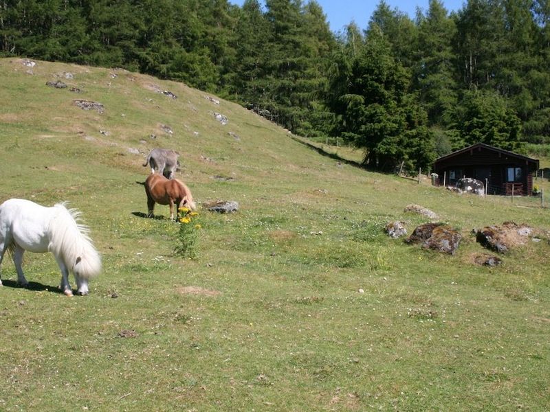 صورة الفندق 10