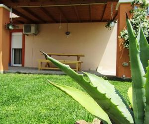 Olive Grove House Limenaria Greece