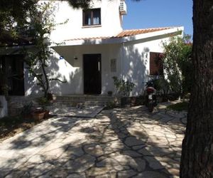 Apartments by the sea Vir - Kozjak (Vir) - 16734 Vir Croatia