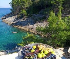 House Bare Vela Luka Croatia