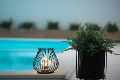 صورة الفندق 12