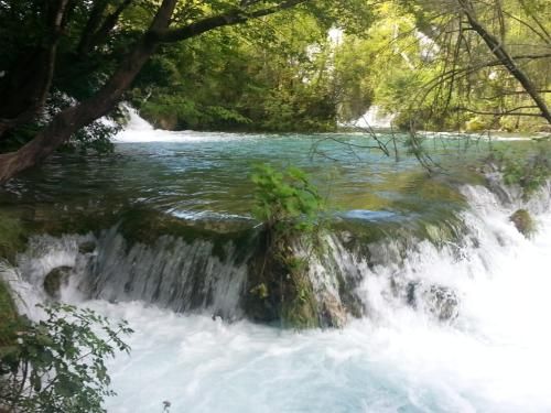 صورة الفندق 8