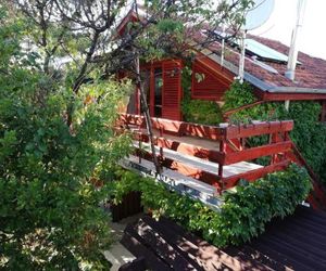 Apartments by the sea Petrcane (Zadar) - 16828 Donje Petrcane Croatia