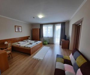 Zöld Béka Panoráma Wellness Apartmanok I. Hajduszoboszlo Hungary