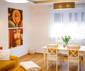 Cozy apartment in the downtown with free parking Gyor Hungary