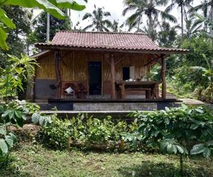 Bali mountain forest cabin Munduk Indonesia