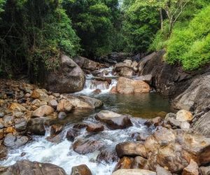 Sierra Brook Resorts Vaduvanchal India