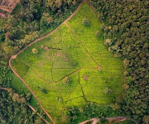 Zostel Wayanad Kalpetta India