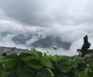 Benus Darjeeling India
