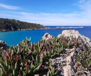 Le Villette di Ruoni Santa Teresa Gallura Italy