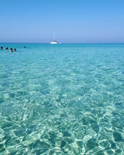 صورة الفندق 7