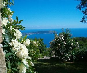 Pietra Fiorita Pisciotta Italy
