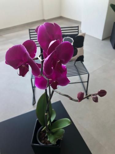 صورة الفندق 18