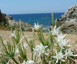 Giglio di mare Reitani Italy