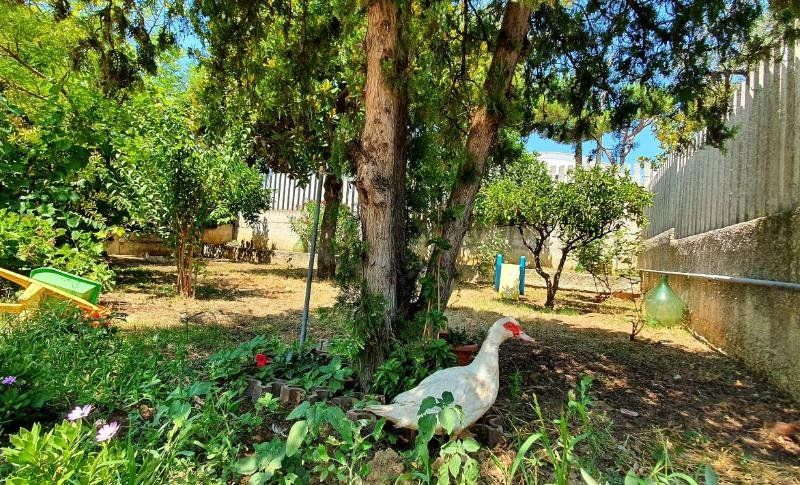 صورة الفندق 5
